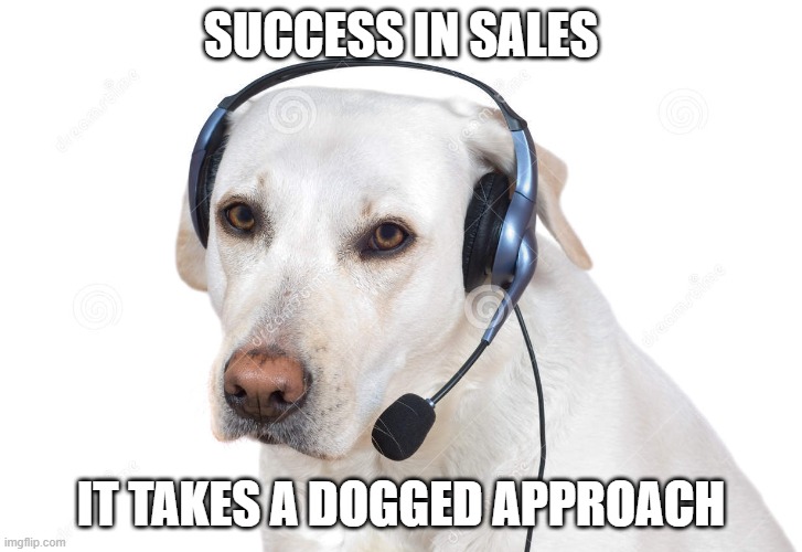 Dogged Persistence